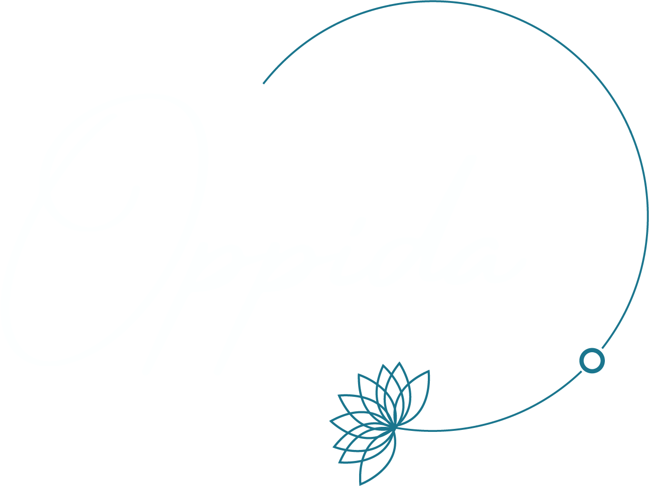 OPPIDA communication